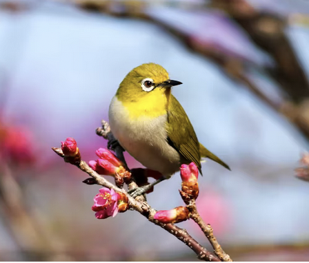 Screen Shot 2024-05-16 at 5.10.28 PM.png