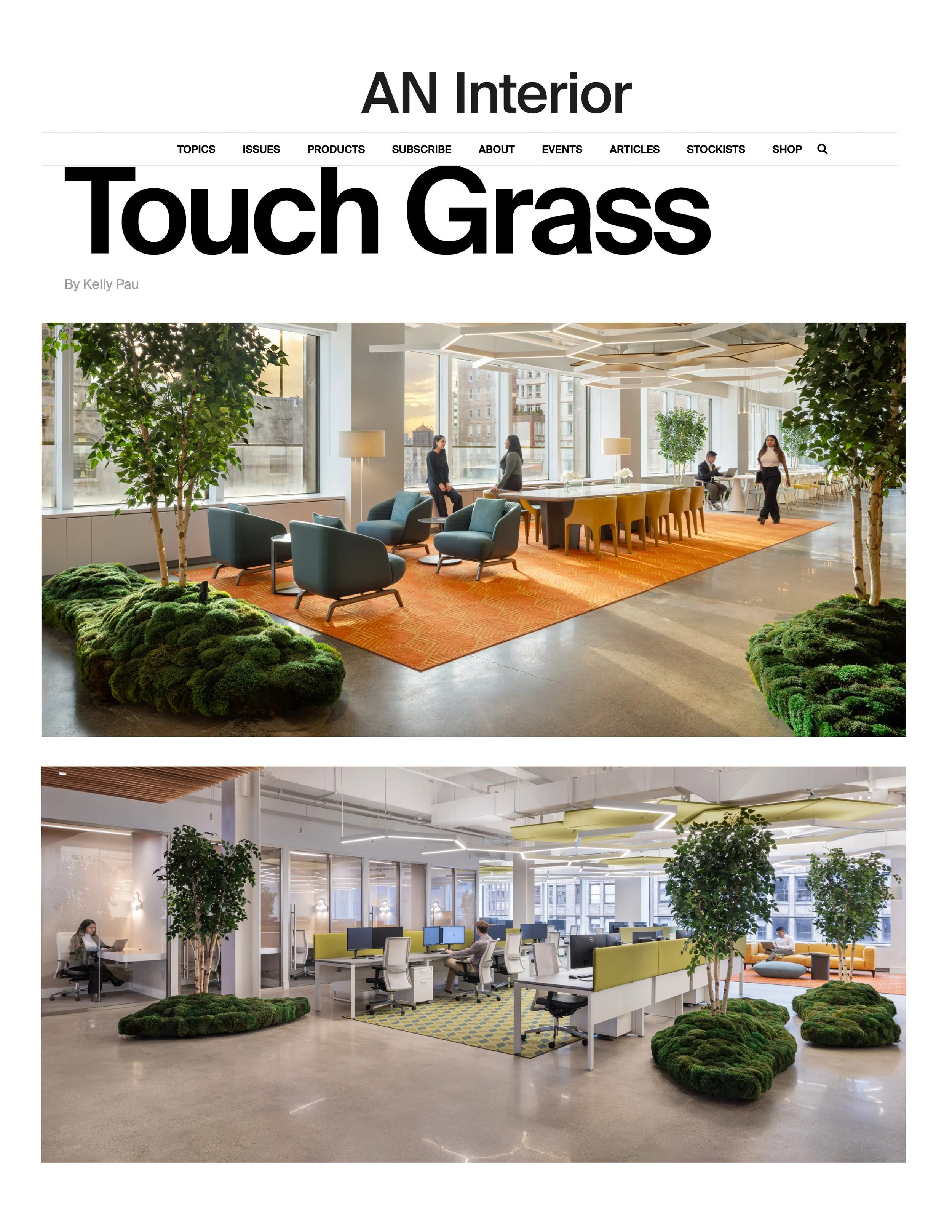 Mosscape--Interior Landscape Project