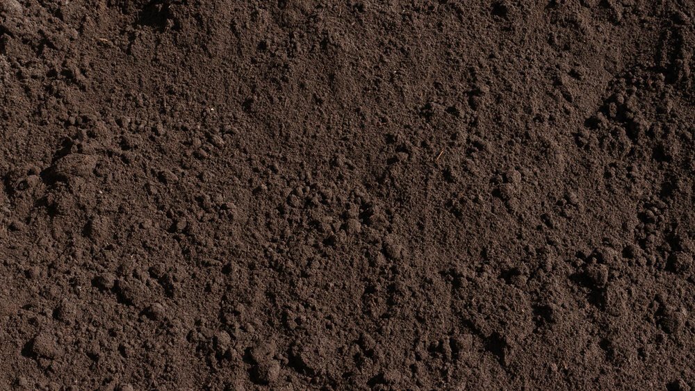 The Dirt on Dirt: Organic Soil By Espoma