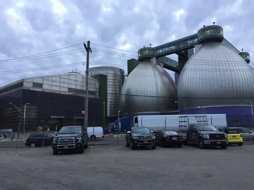 Kingsland Wildflowers 