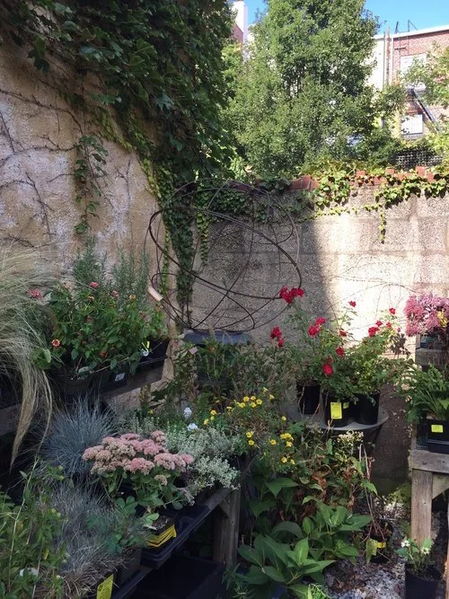 My Brooklyn Garden Store Faves