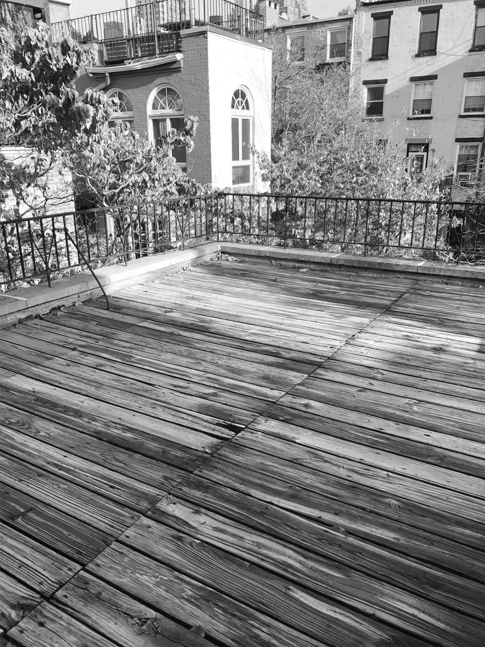 Brooklyn Heights LAndscape Designer.jpg