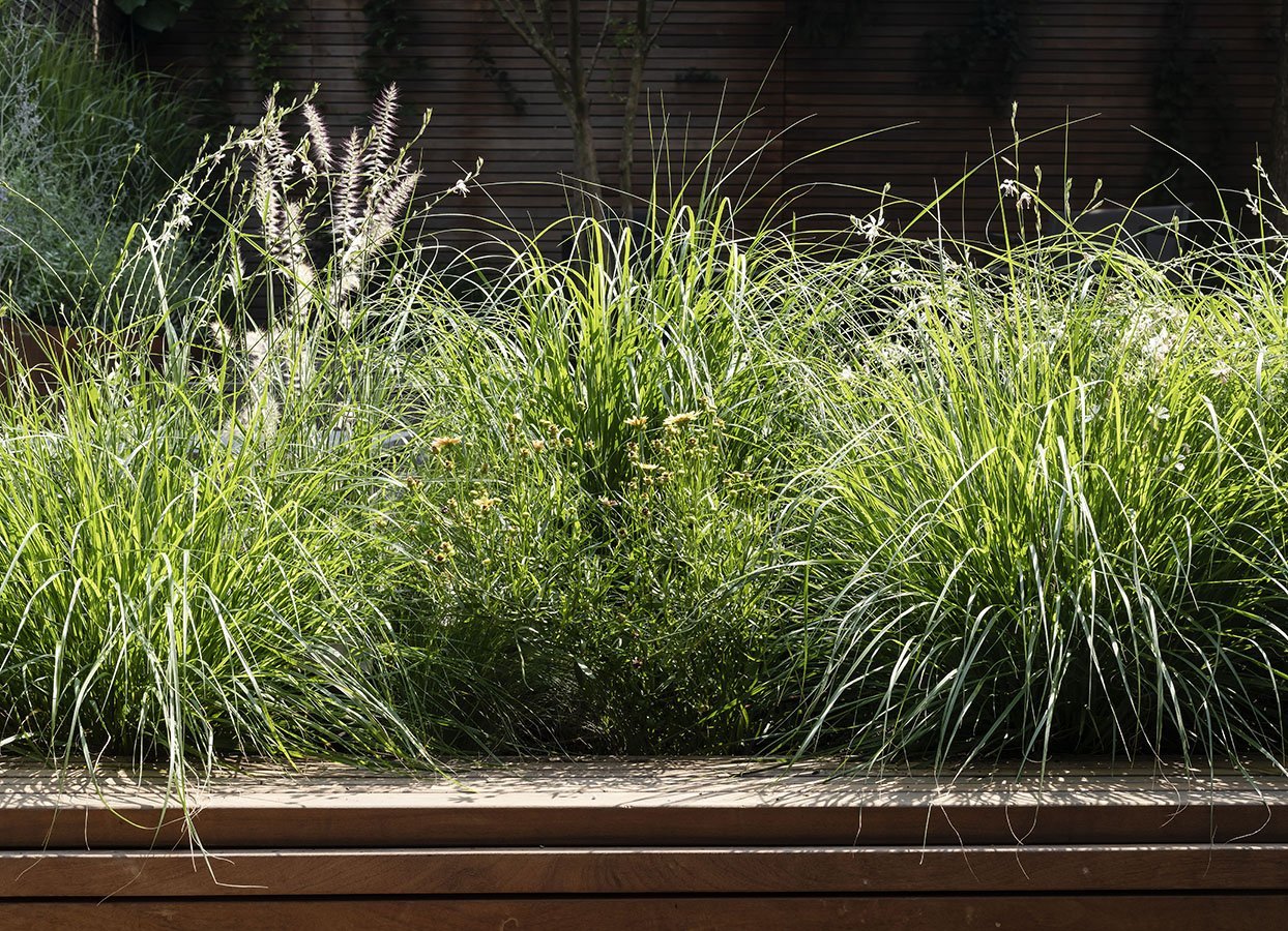 Virtual Consultation