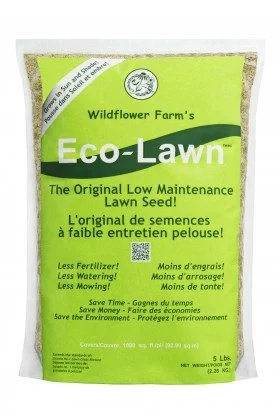 Eco Lawn Seeds