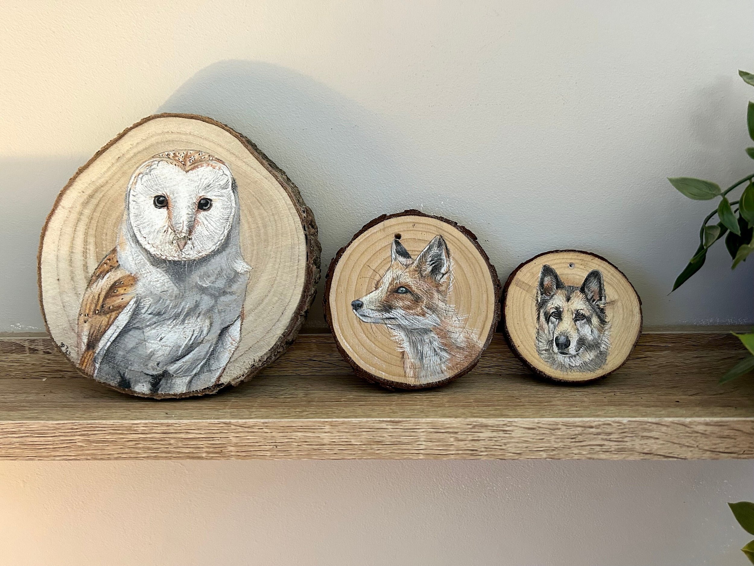 https://i.etsystatic.com/35185103/r/il/935008/5137154206/il_fullxfull.5137154206_qub6.jpg