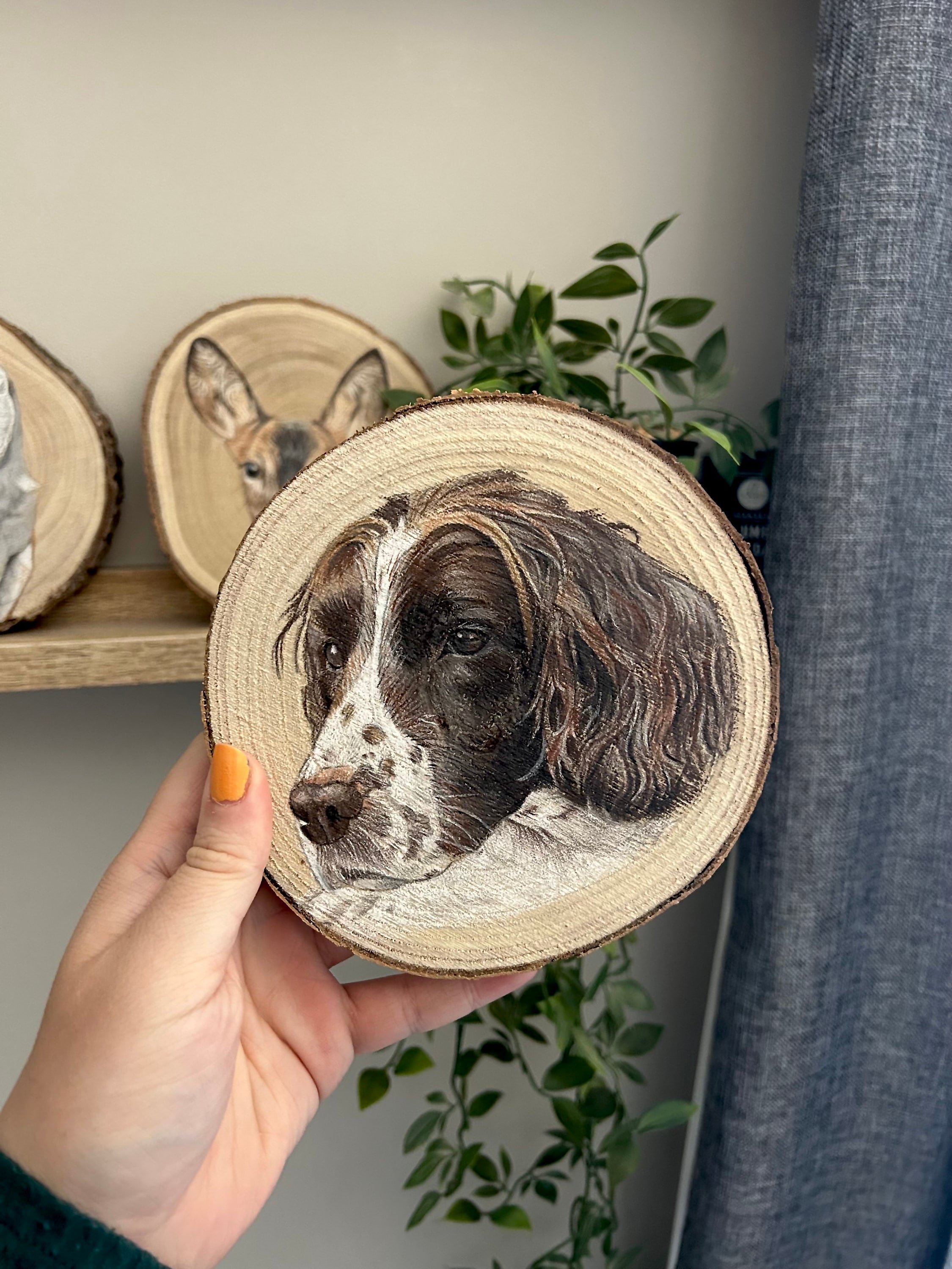 https://i.etsystatic.com/35185103/r/il/118dd1/5185393637/il_fullxfull.5185393637_m1zt.jpg