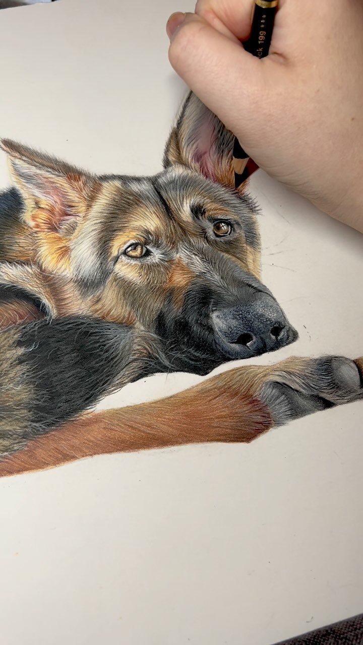 Can you see an improvement? It’s worth noting that I was actually really happy with the portraits I made at the time, and the clients were also happy! I didn’t have the experience so charged a LOT less for my work as I was trying to get t