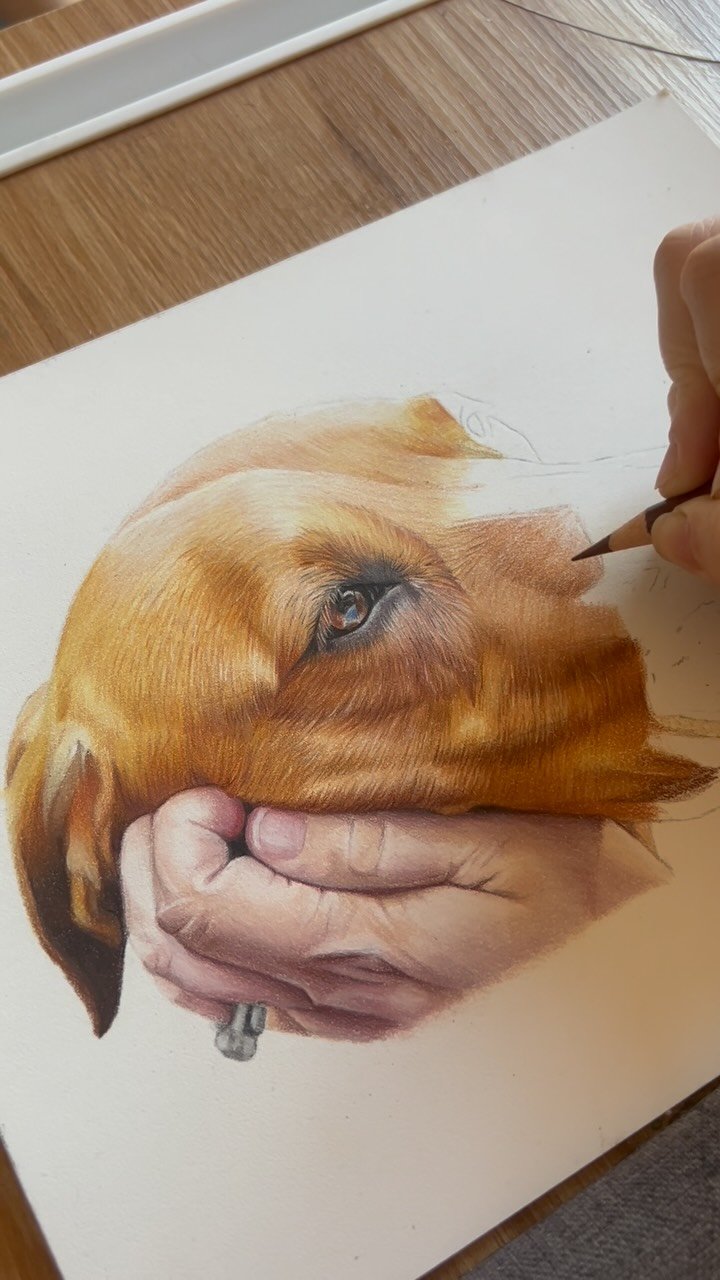 I always wanted to work with animals or be an artist ✏️ now I get to be an artist and look at beautiful animals all day 🥰🤍 best of both worlds! I also get to work with my own dogs by my side too which is the dream. It’s taken a looong time to