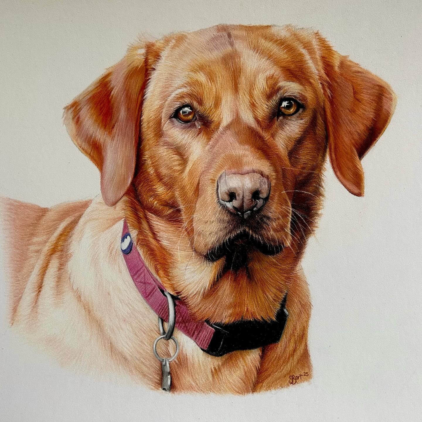 She is finally finished 🙌🏽🤍 I’ve probably spent more time on this than any other portrait. I really wanted to get all of those warm colours right and I’m really pleased with it. Both portraits here are for the same client and im excite