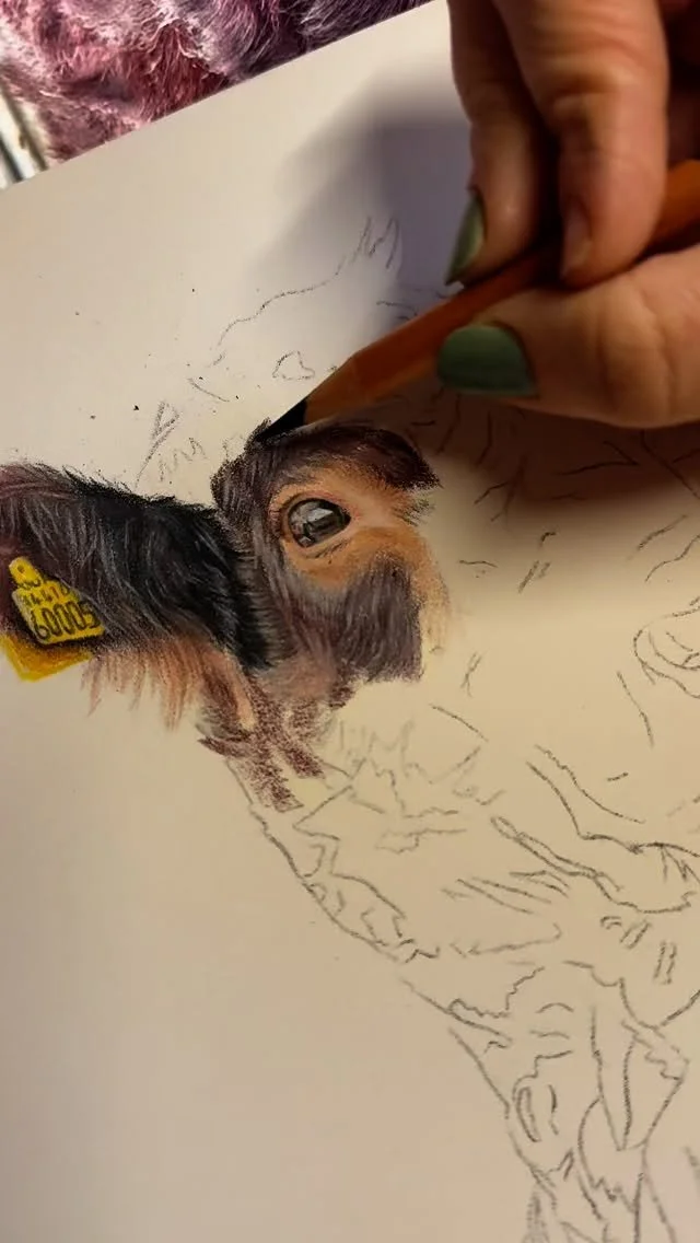 Still some way to go on Yogi the bull from @randfarmpark but I’ve got a little break this weekend from urgent commissions so I’m going to use my free time to hopefully finish him 🥰 I’m not sure yet what I’m going to put under