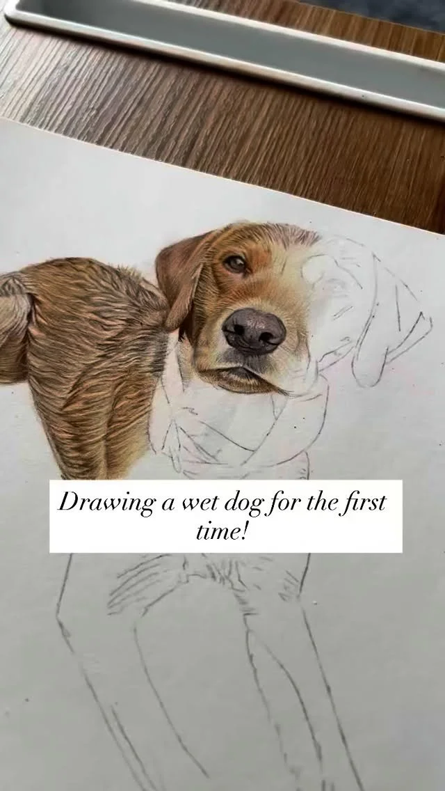 So many different techniques are required depending on what fur texture you are faced with. This one was a different one for me with the fur being wet, but it was a nice challenge! I find the most difficult for me is curly fur 🤪 I’m a bit of