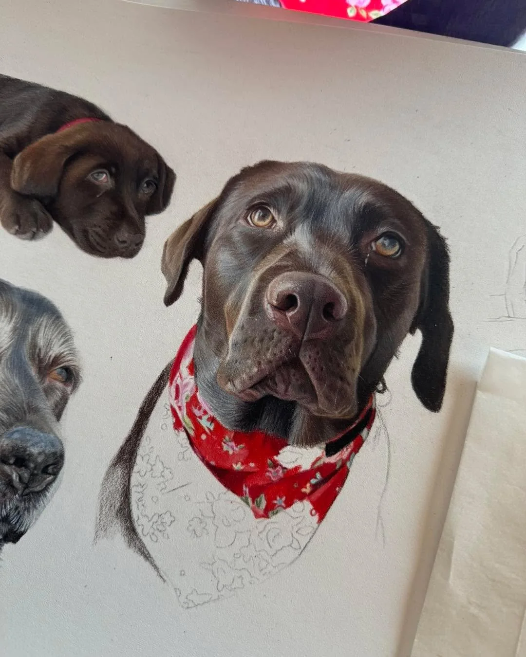 I&rsquo;m loving the richness in the fur on this one. There was a point when I thought I was done and then decided to add another 20 layers 🤣 definitely worth it! 
I find it doesn&rsquo;t really matter if you don&rsquo;t have every fur stroke includ