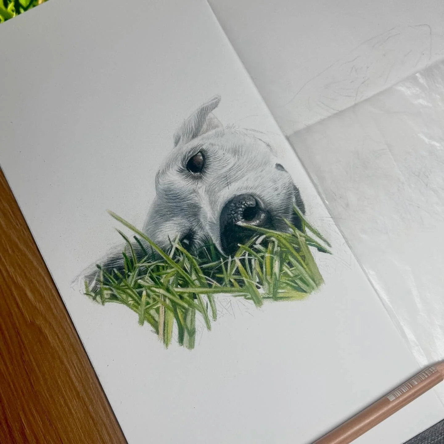 A little bit of a different portrait! Lots of grass 🤍 I knew when I saw it that I was going to love this one. The grass has certainly been a challenge so far. Really it doesn&rsquo;t have to be exact to the photo because who&rsquo;s going to know if