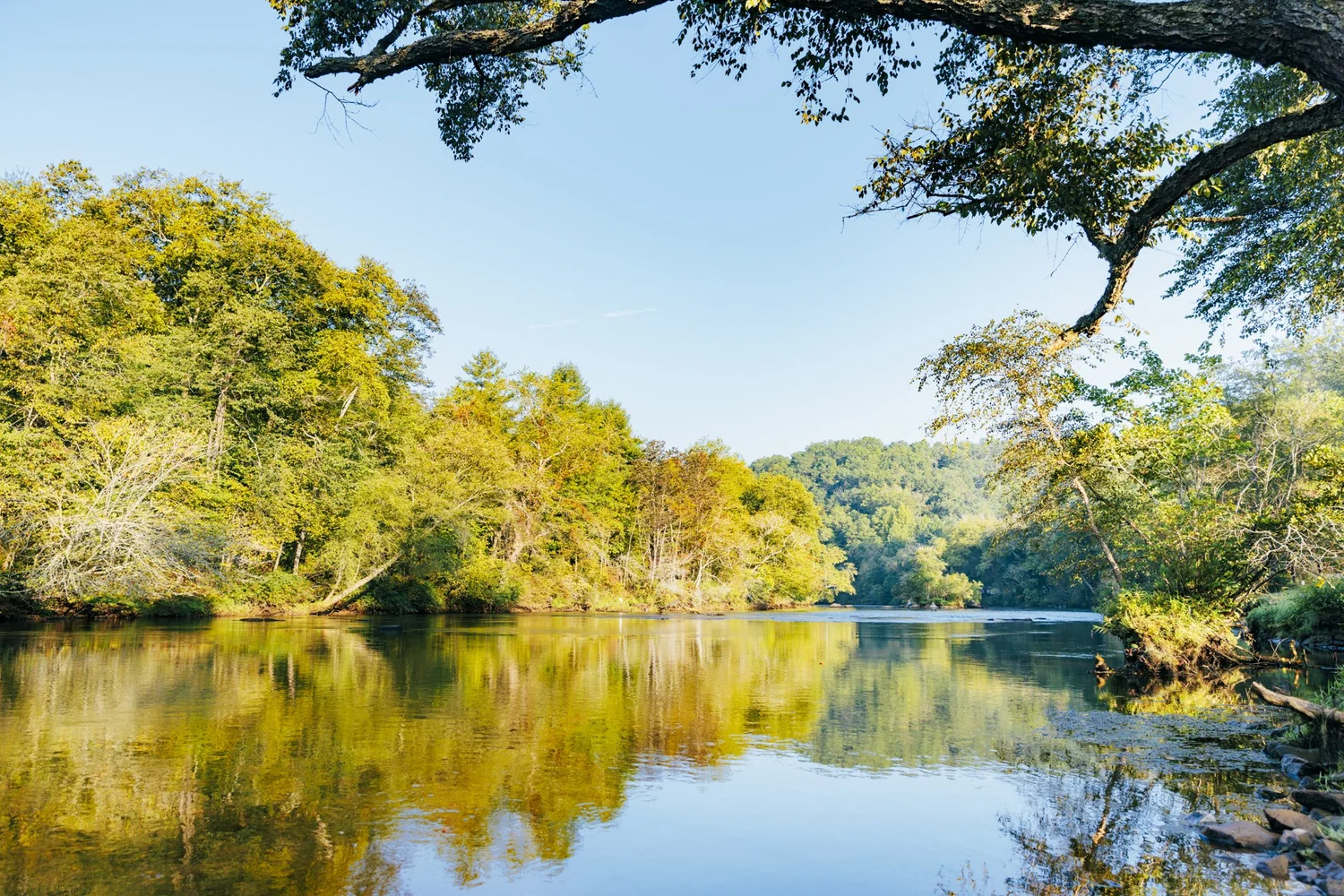 Best Trout Fishing Spots Near Blue Ridge, GA – Toccoa River Guide ...