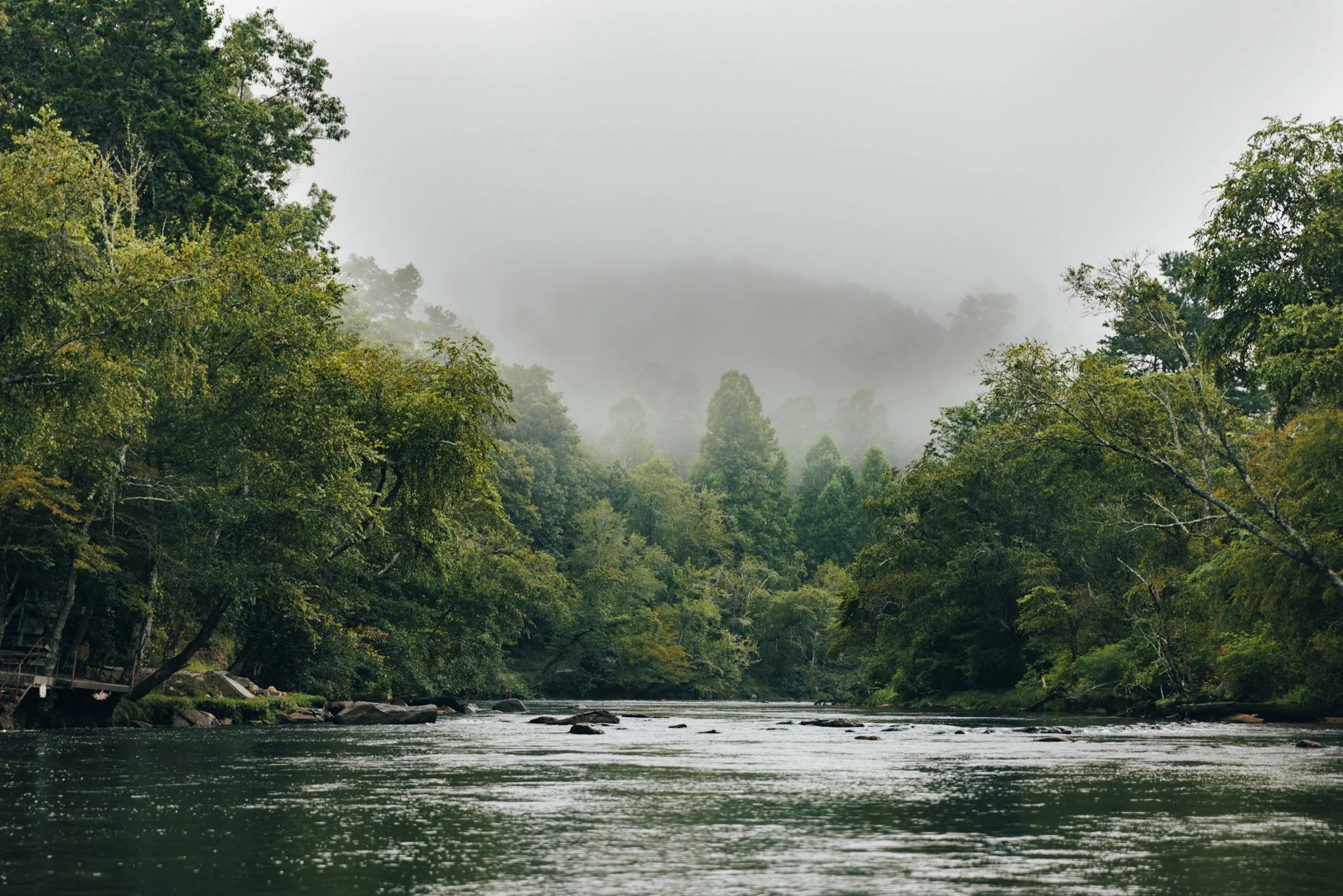 Scenic fly fishing on the Toccoa River in North Georgia
