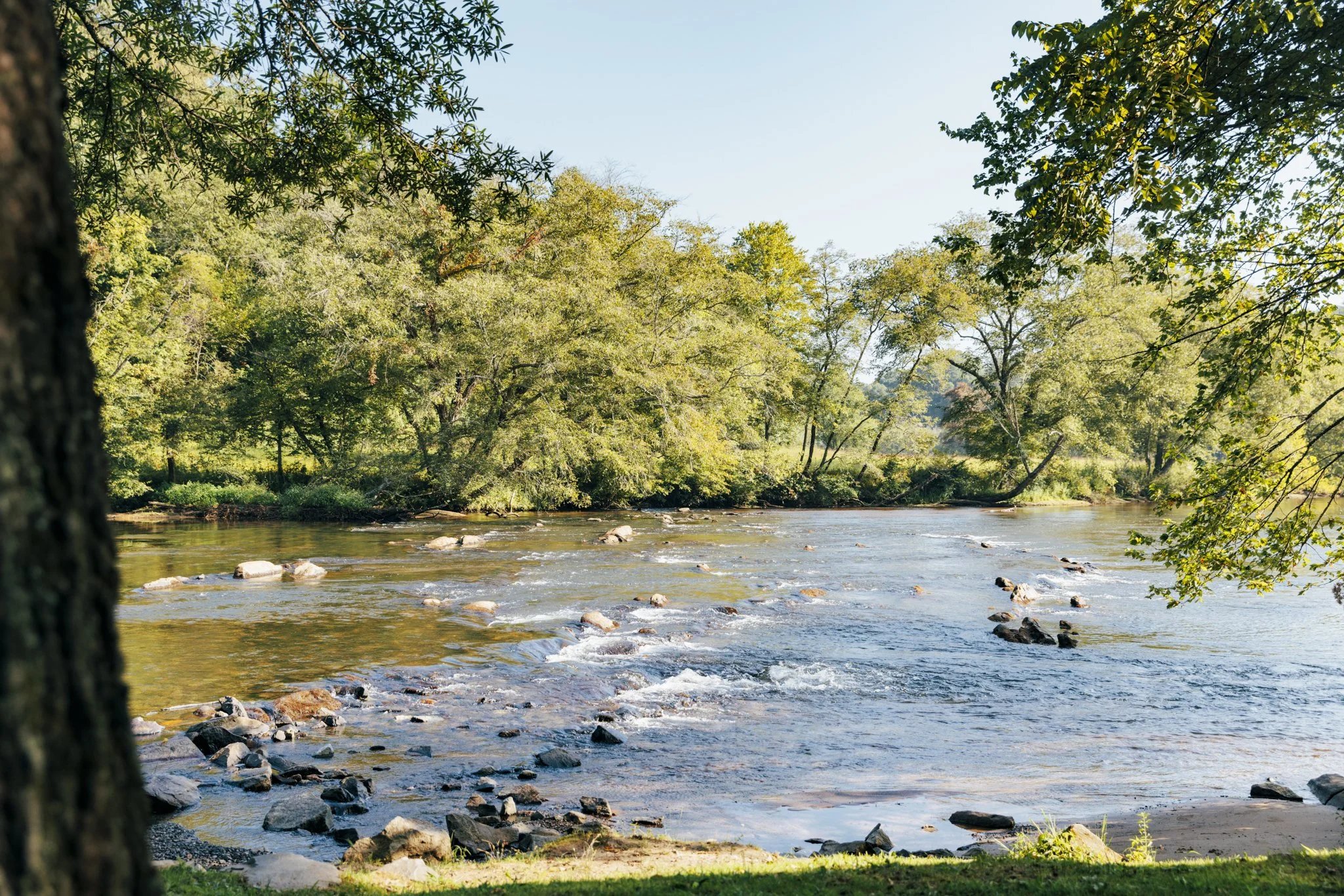 Horseshoe Bend Park trout fishing access on the Toccoa River in Blue Ridge, GA
