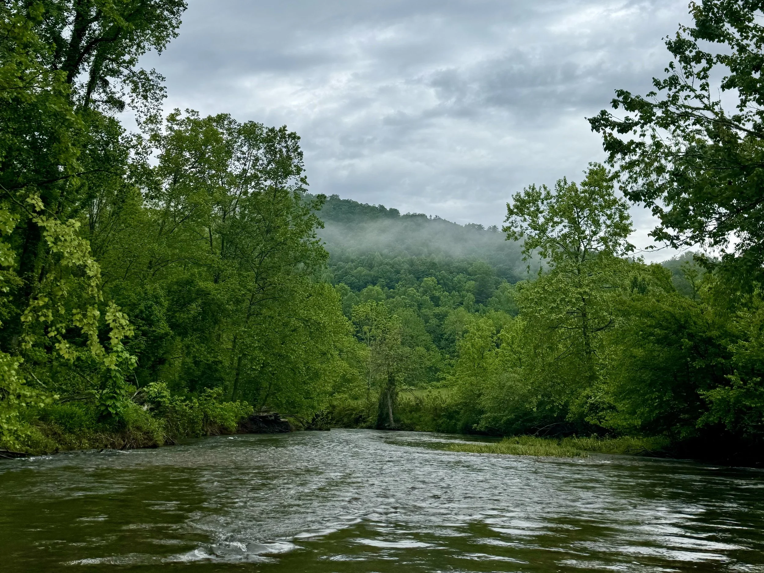 Fishing conditions for the Toccoa River May 2025