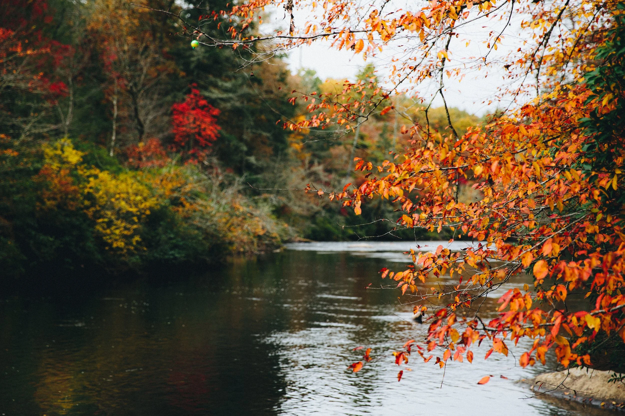 Float the Toccoa River Blue Ridge Georgia