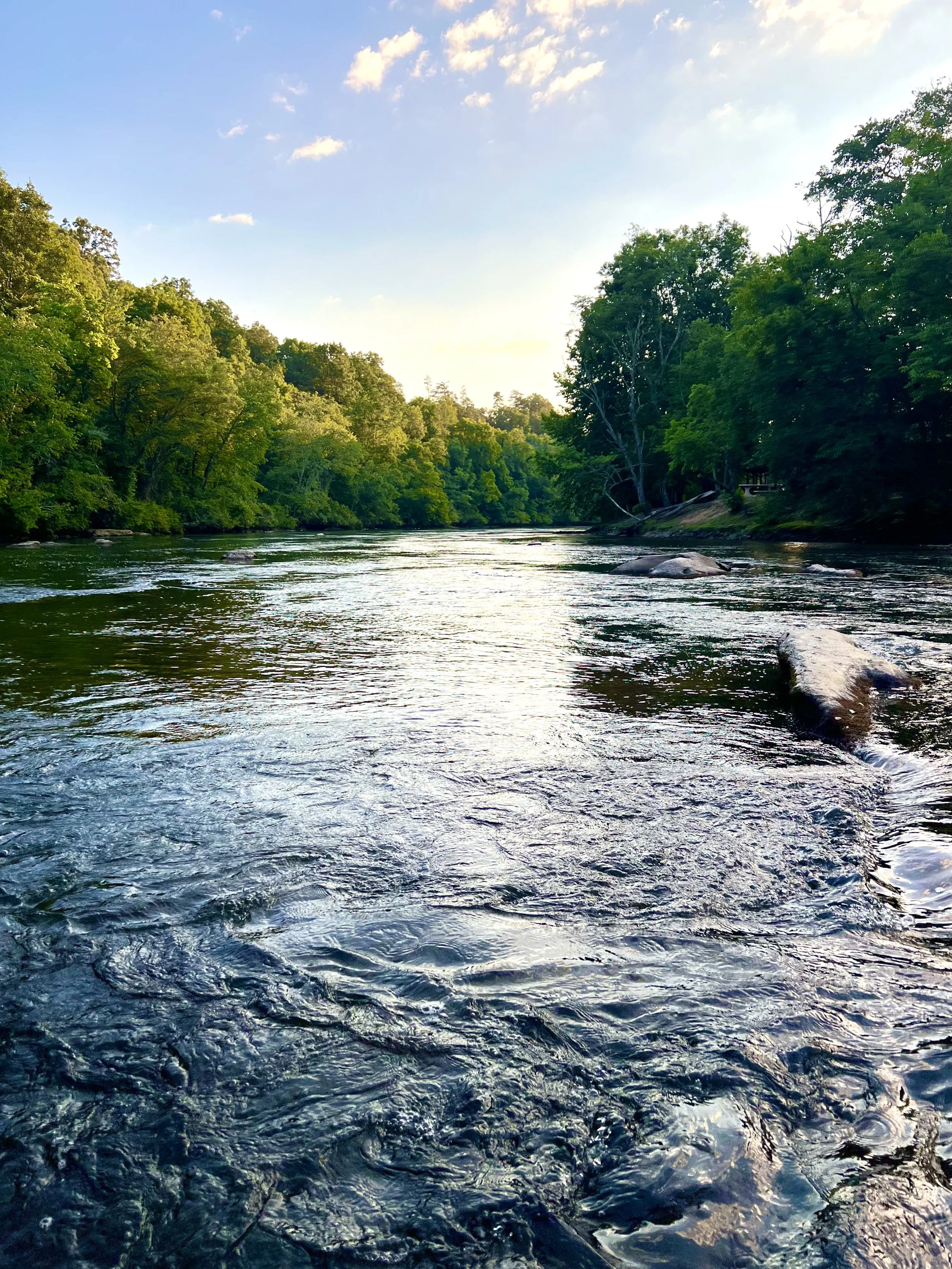 River landscape with flowing water surrounded by green trees under a blue sky with clouds.