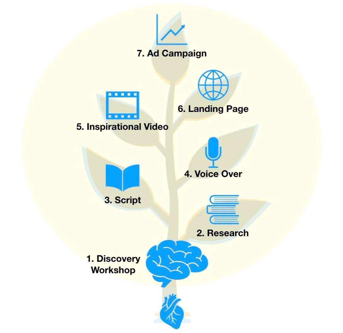 Illustration of the available services