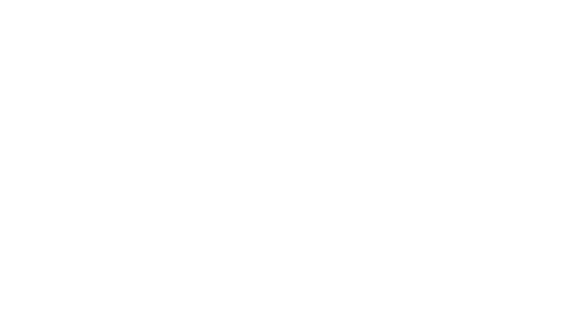 sanud.pictures logo