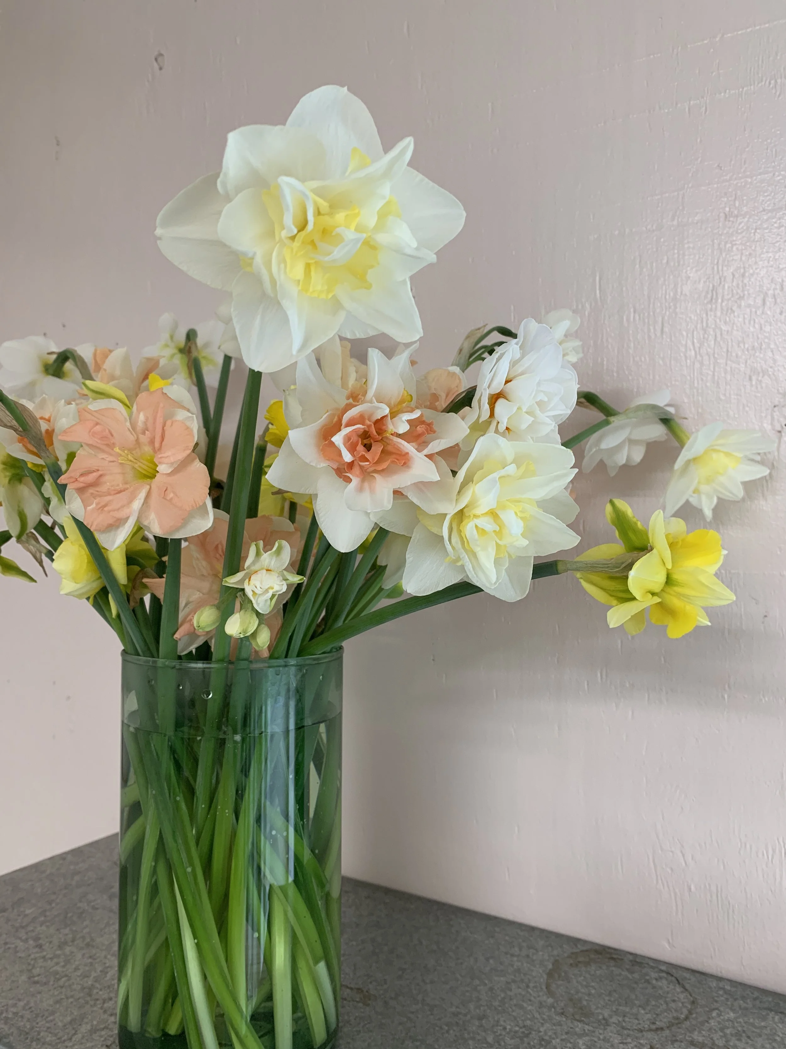Daffodil arrangement spring mother's day