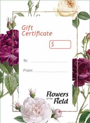 Gift Certificate BACK 2.jpg