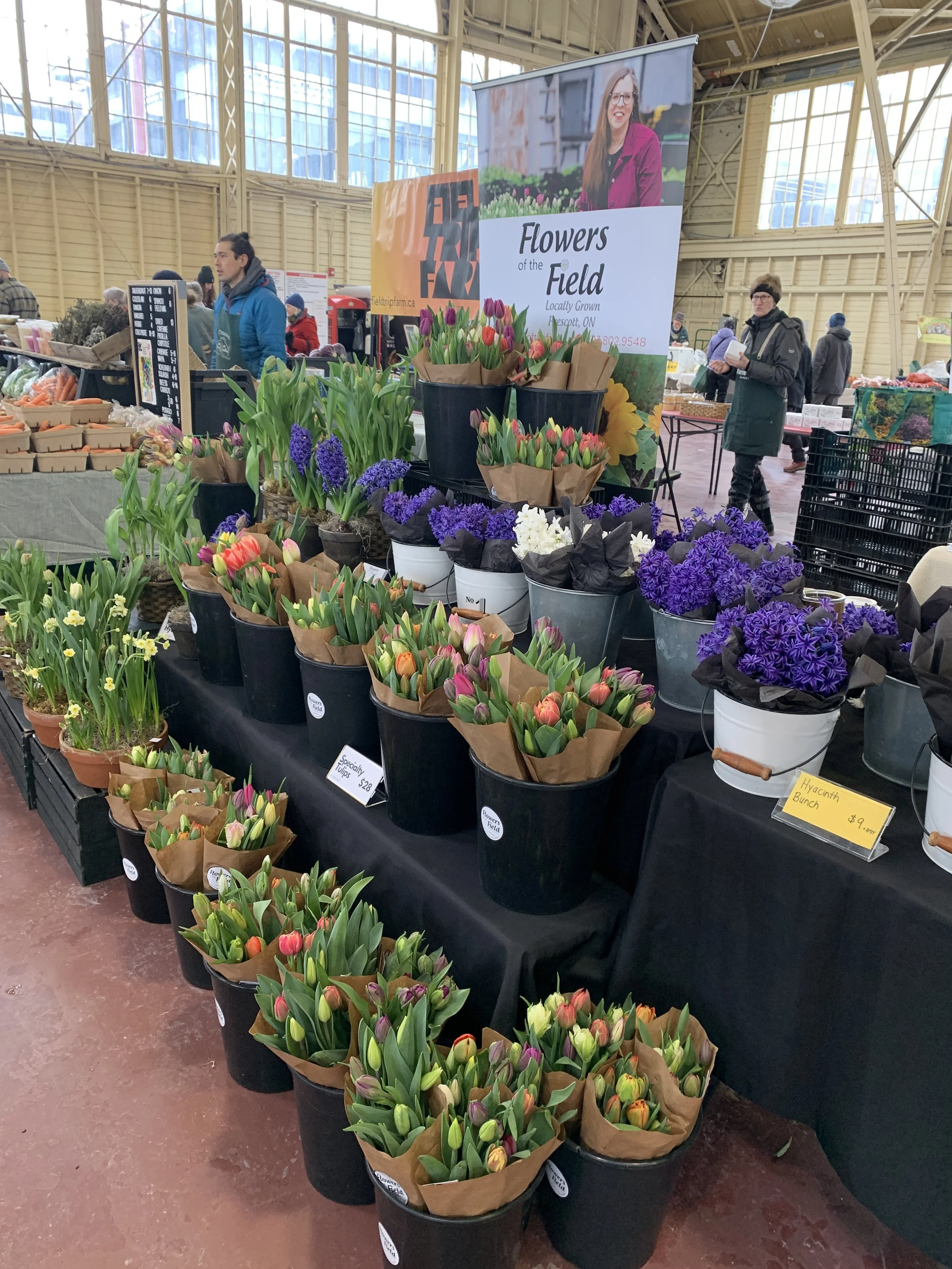 Growers' On Farm Workshop: Forcing Tulips for Winter Bloom
