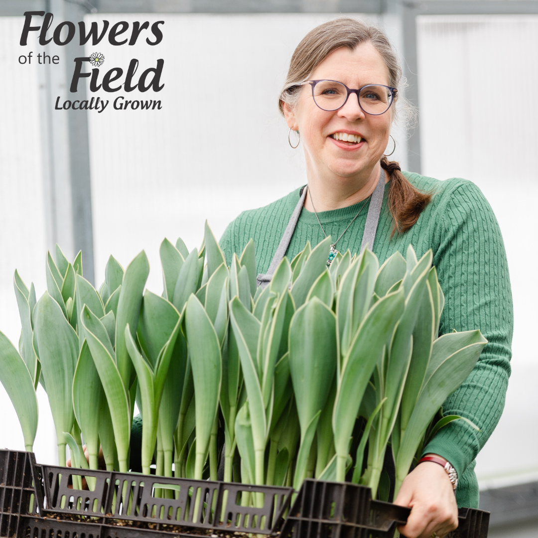 Harvesting Crates of Tulips .png