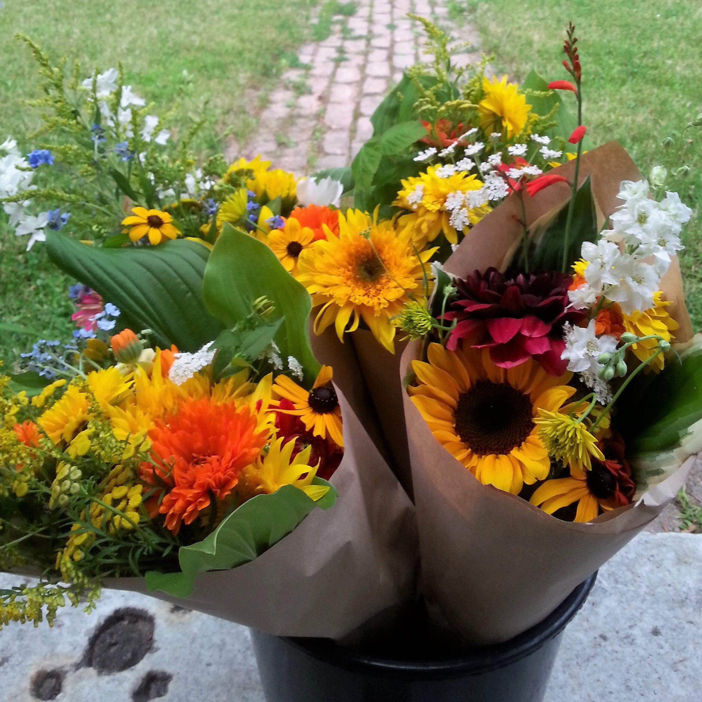 20170811_193925.jpg