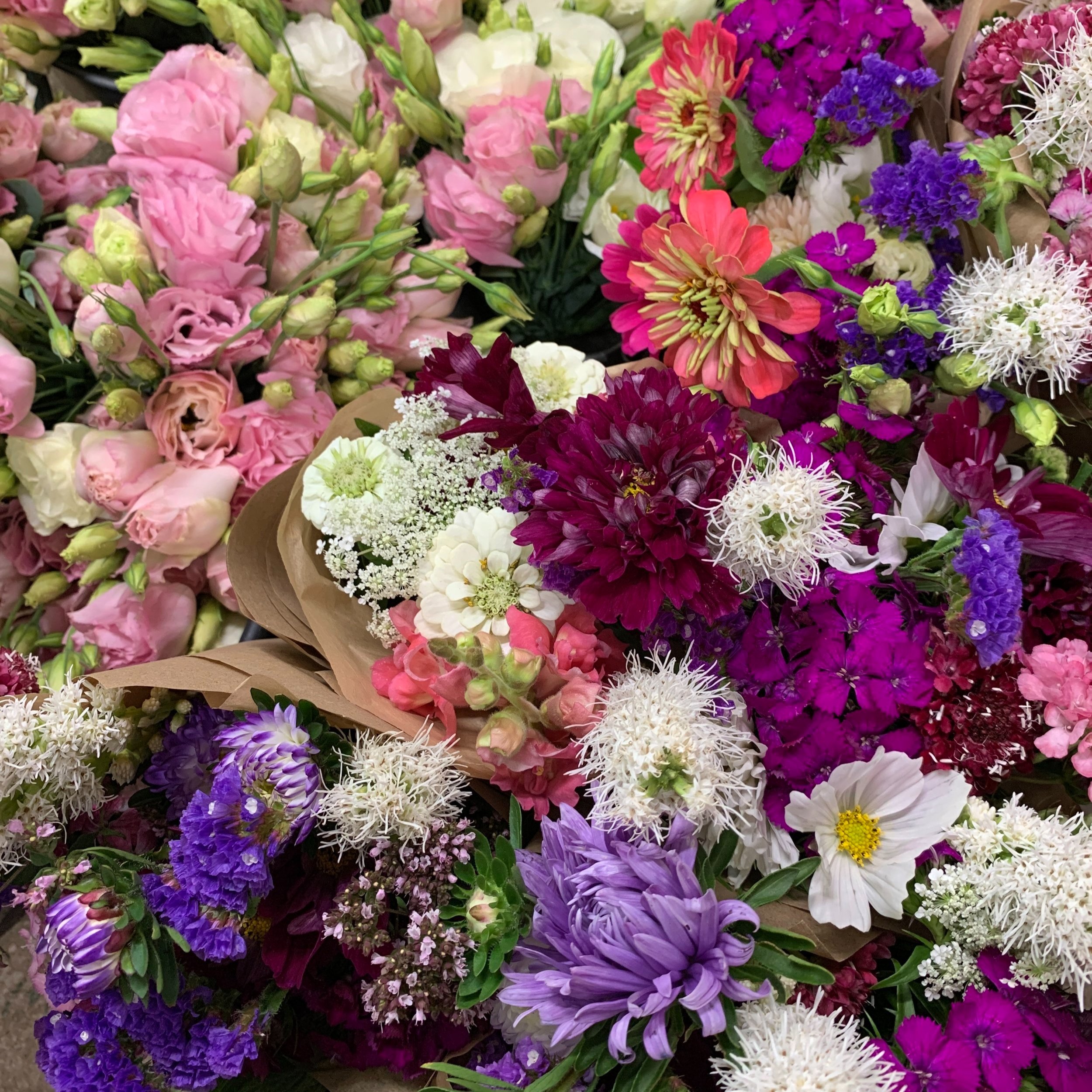 Summer+flowers-+lisianthus.jpg