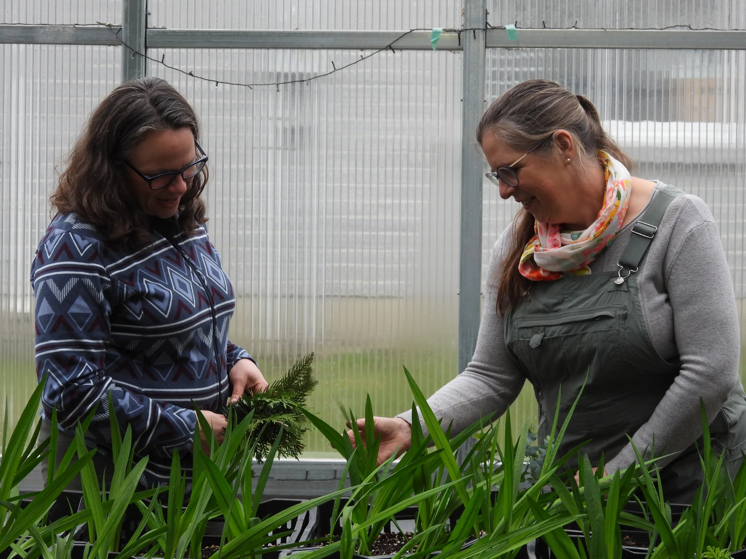 DSCN5337.JPG