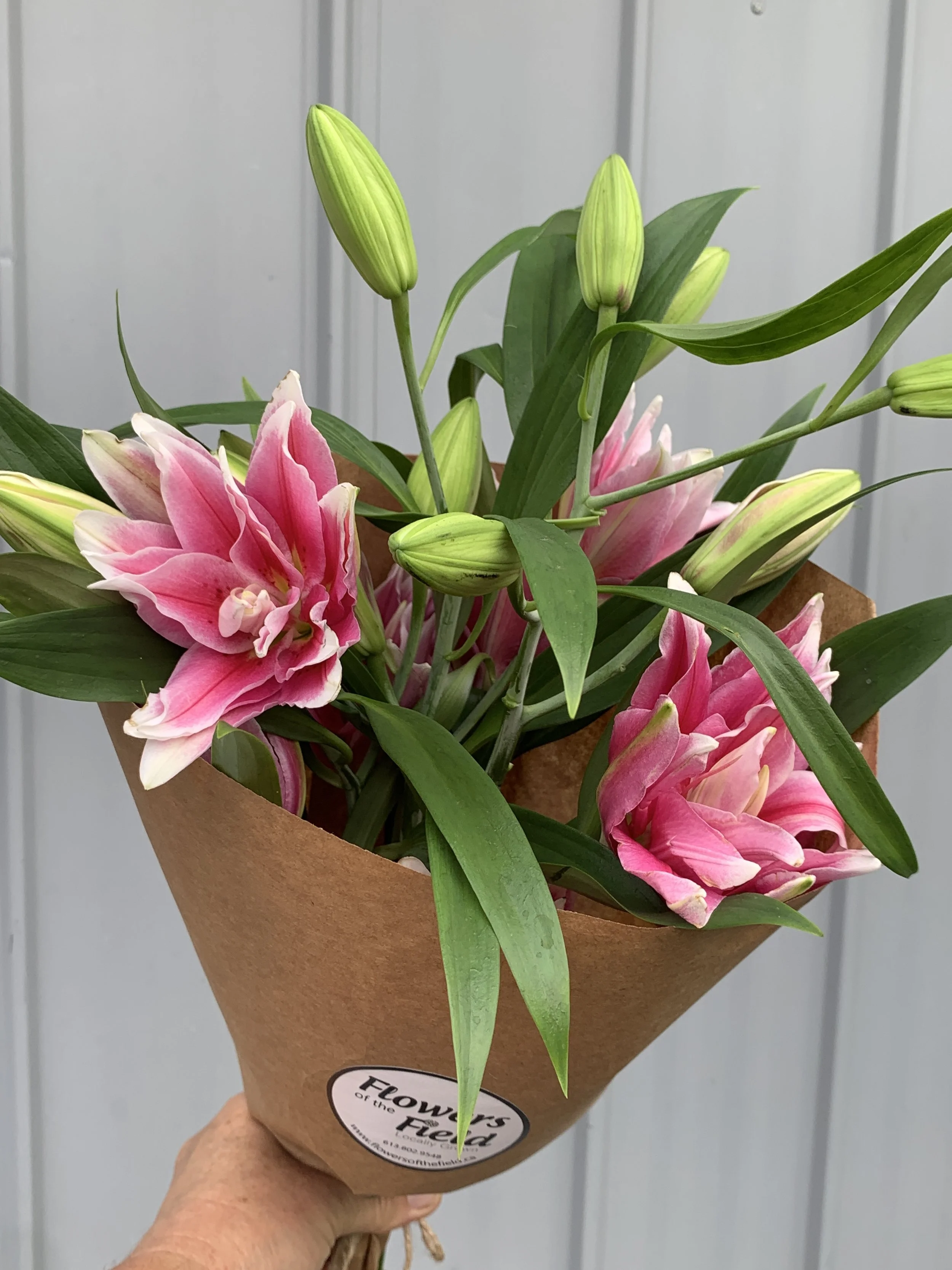 Lily Bunch- Roselily