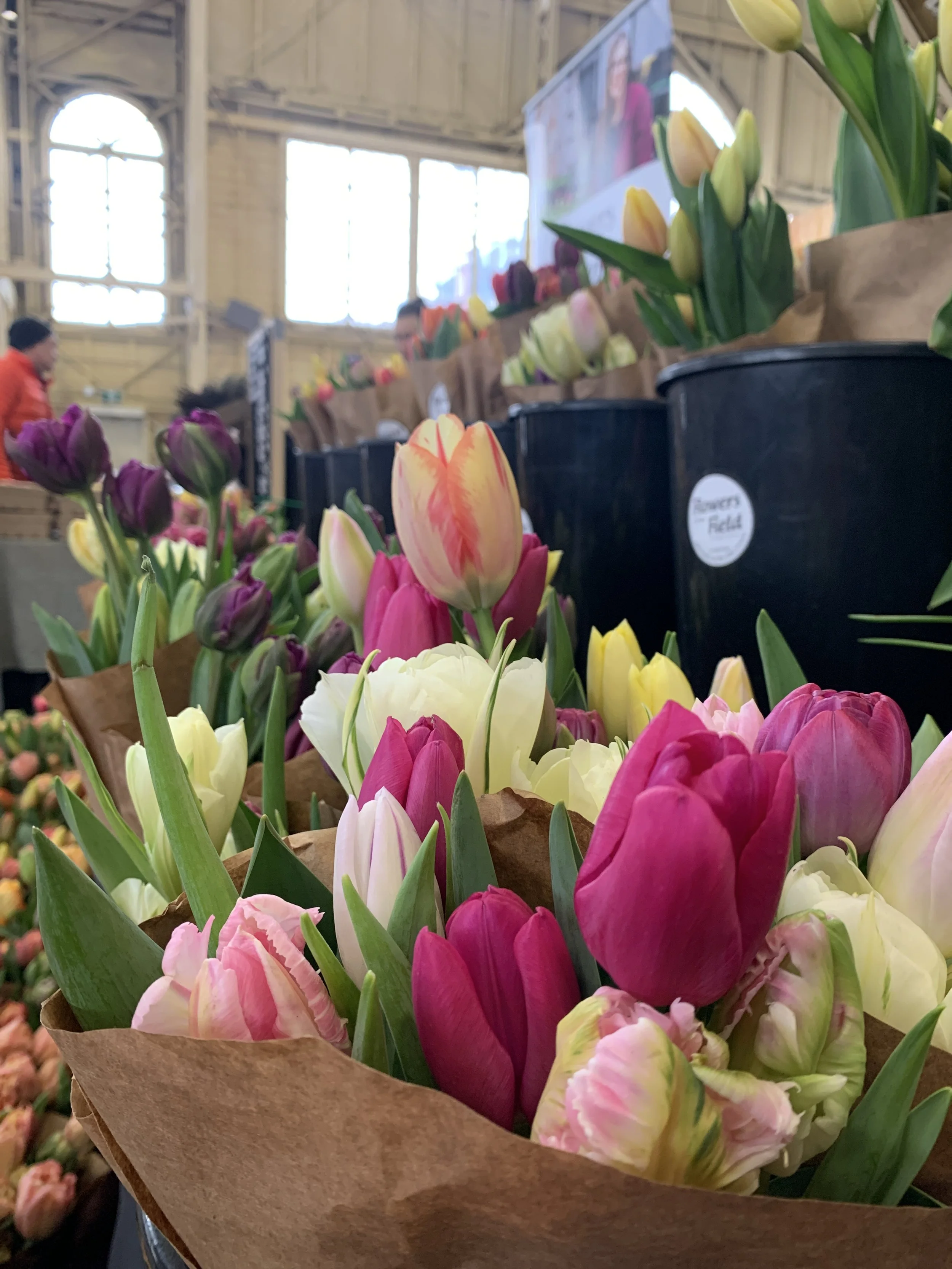 Buckets of tulips ready to sell at Ottawa Farmers' Market in March