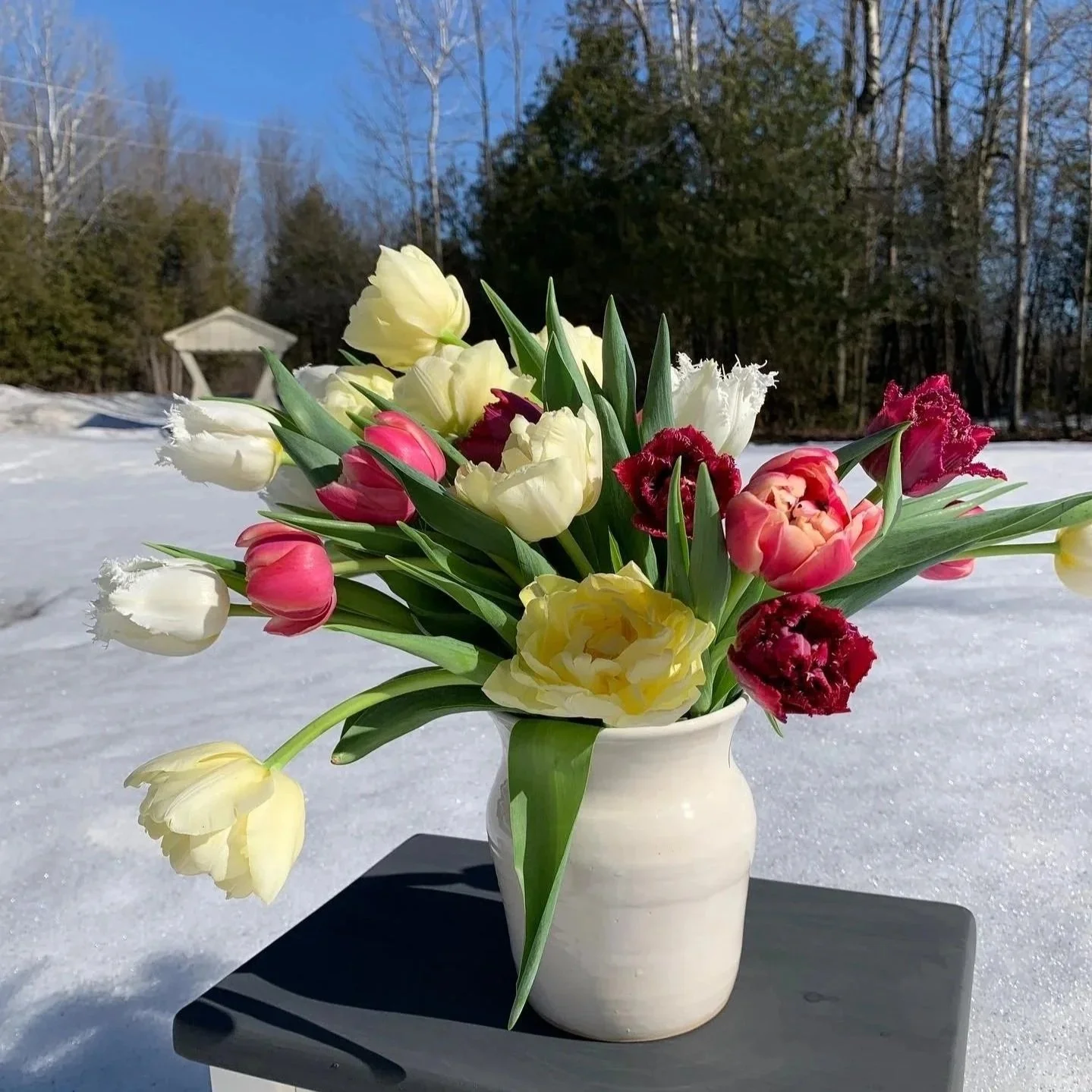 Large farm fresh simple tulip arrangement