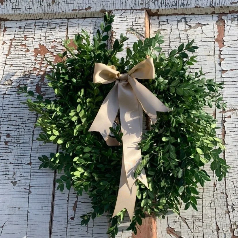 fresh small boxwood wreath with satin beige ribbon