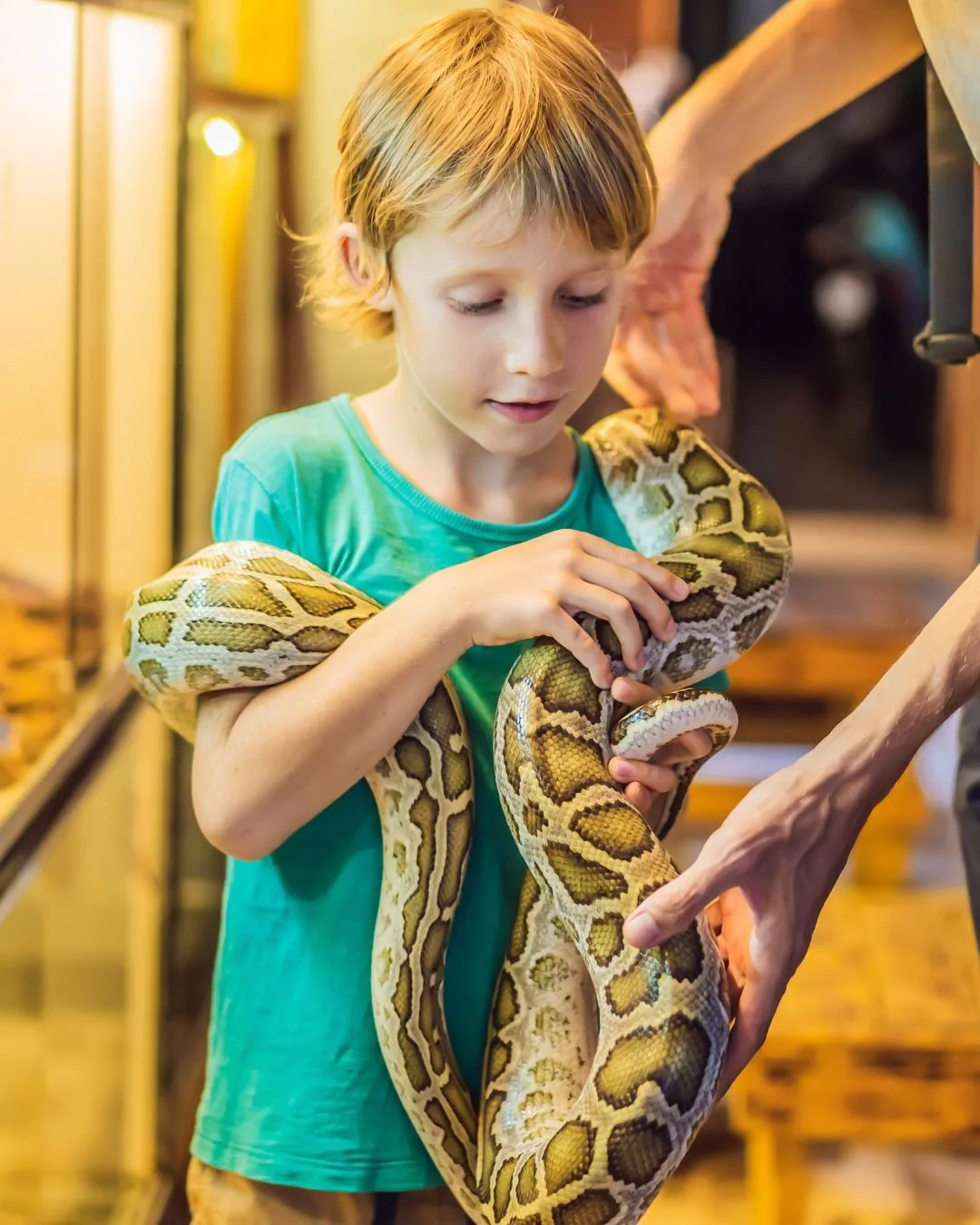 Animal Man