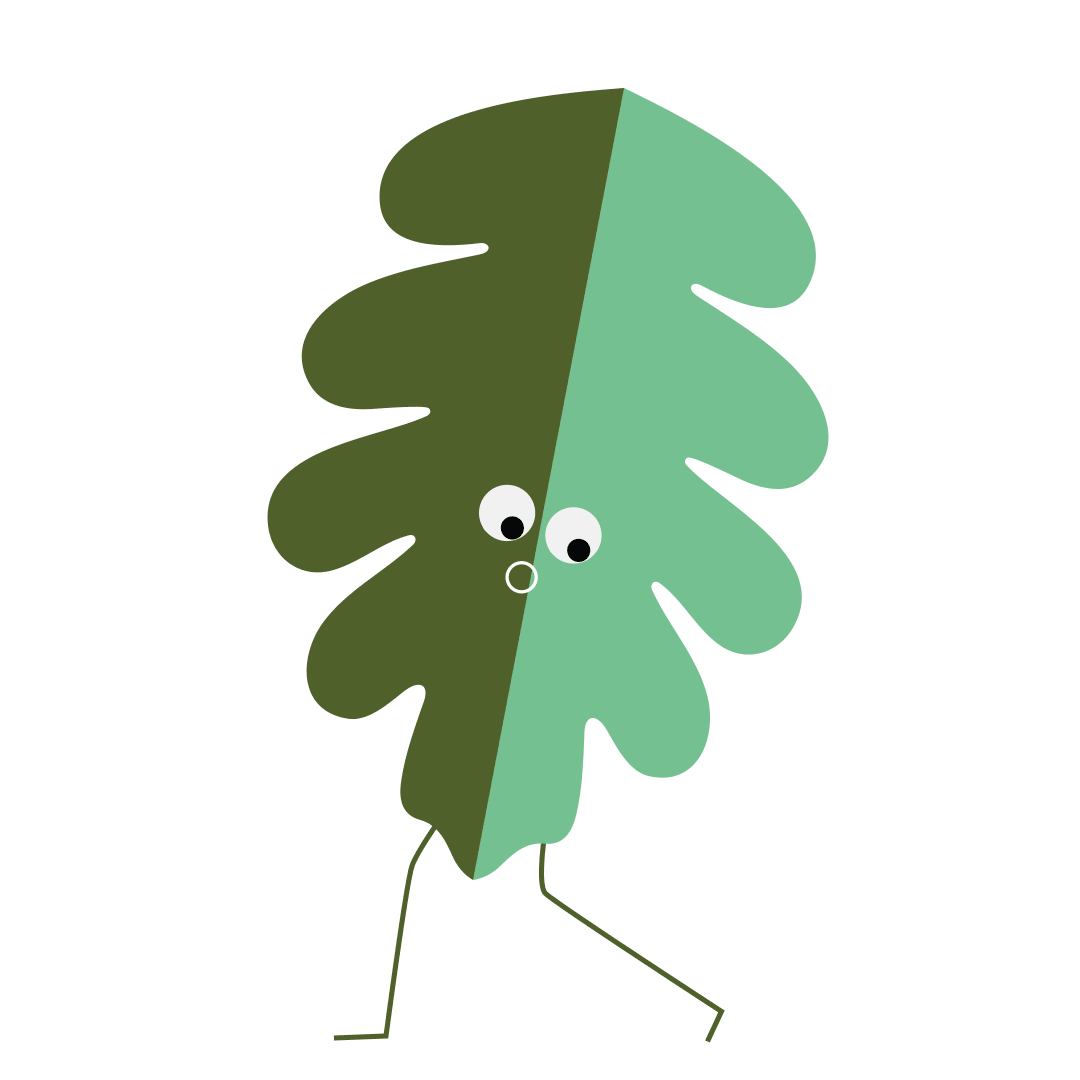 Parties At Hockerhill Adventure Playbarn Book Now Hockerhill parties-at-hockerhill-adventure-playbarn-book-now-hockerhill