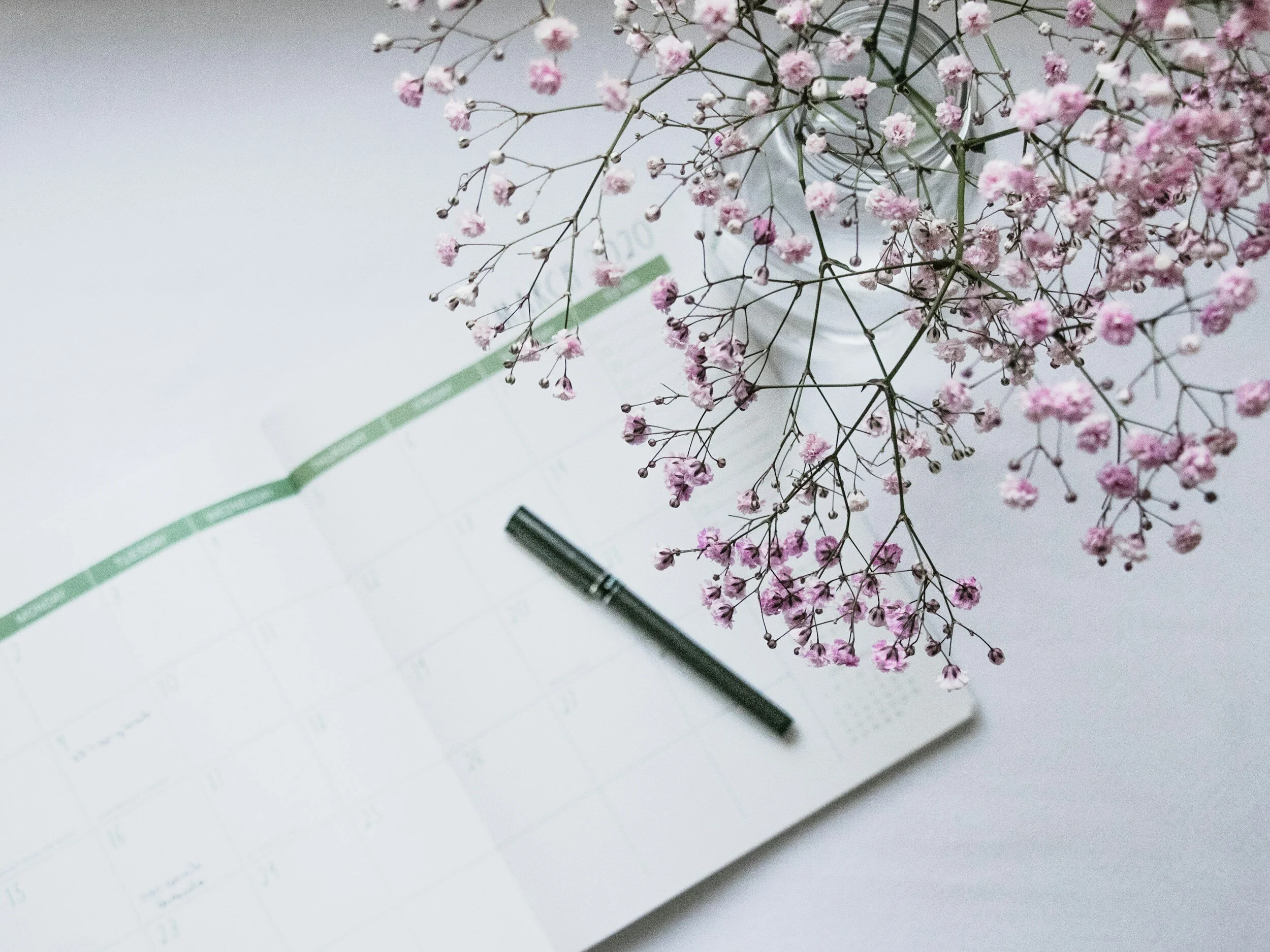 A pink flower on a branch placed on an open planner or calendar with a black pen resting on the page.