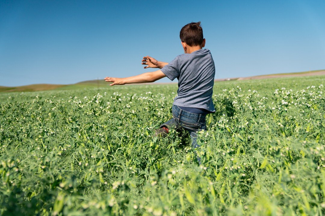 Her pants are two inches too short. 
His hair is long, flopping down over his ears. 
She&rsquo;s getting taller, shooting up with each passing day. 

The winter wheat pokes through the dark, cold soil, the bright green blades a welcome sight.

When d