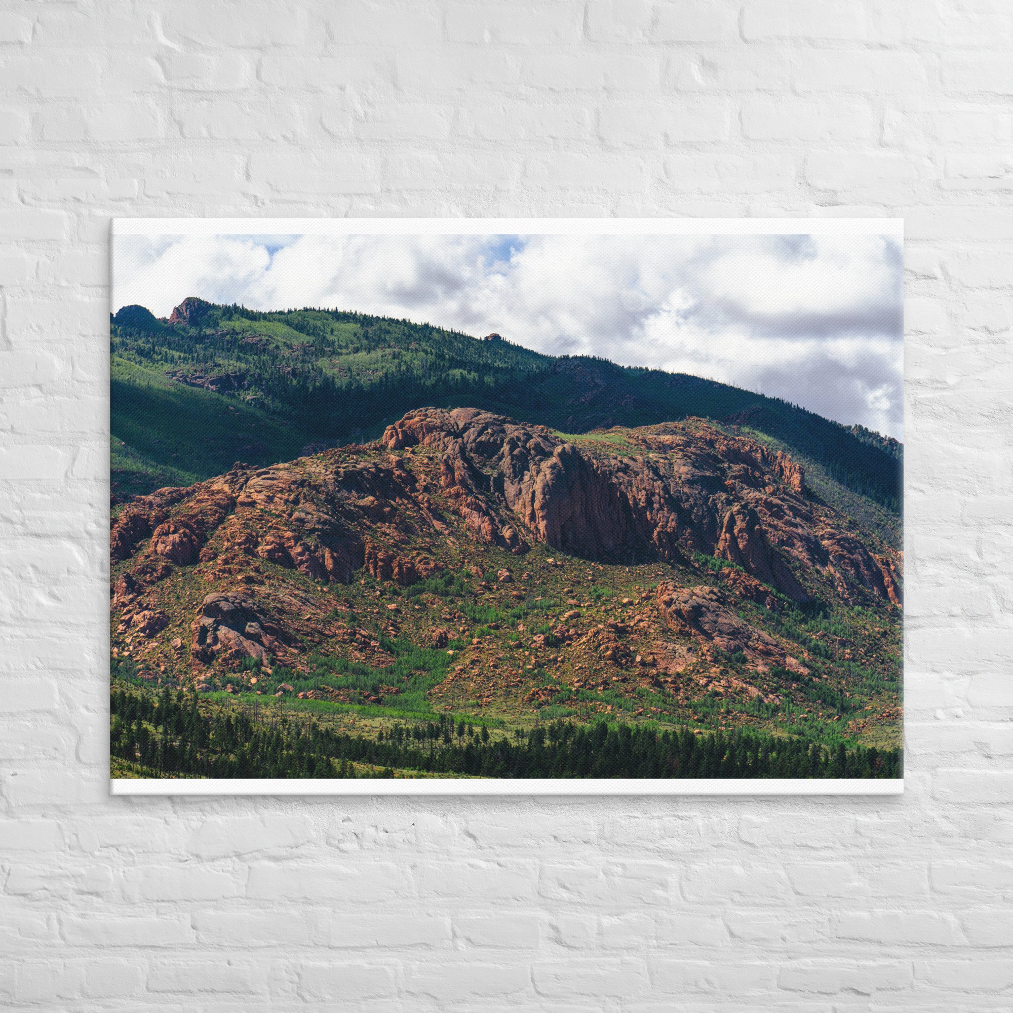 canvas-(in)-40x55-front-67206e79a0510.jpg