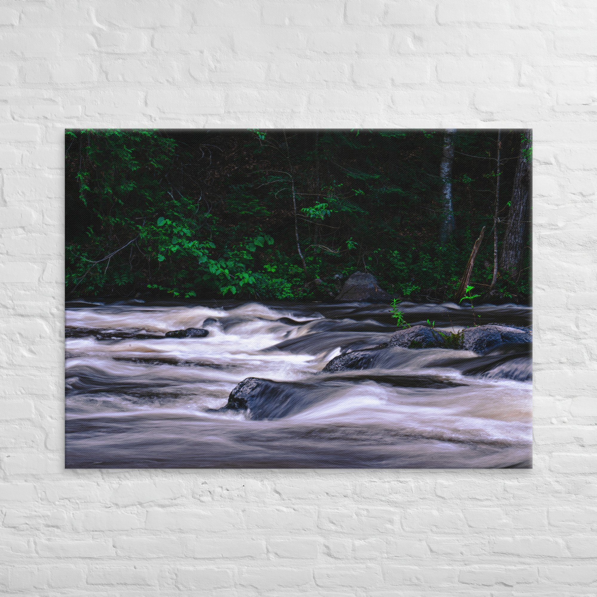 canvas-(in)-40x55-front-67206f65b9b47.jpg
