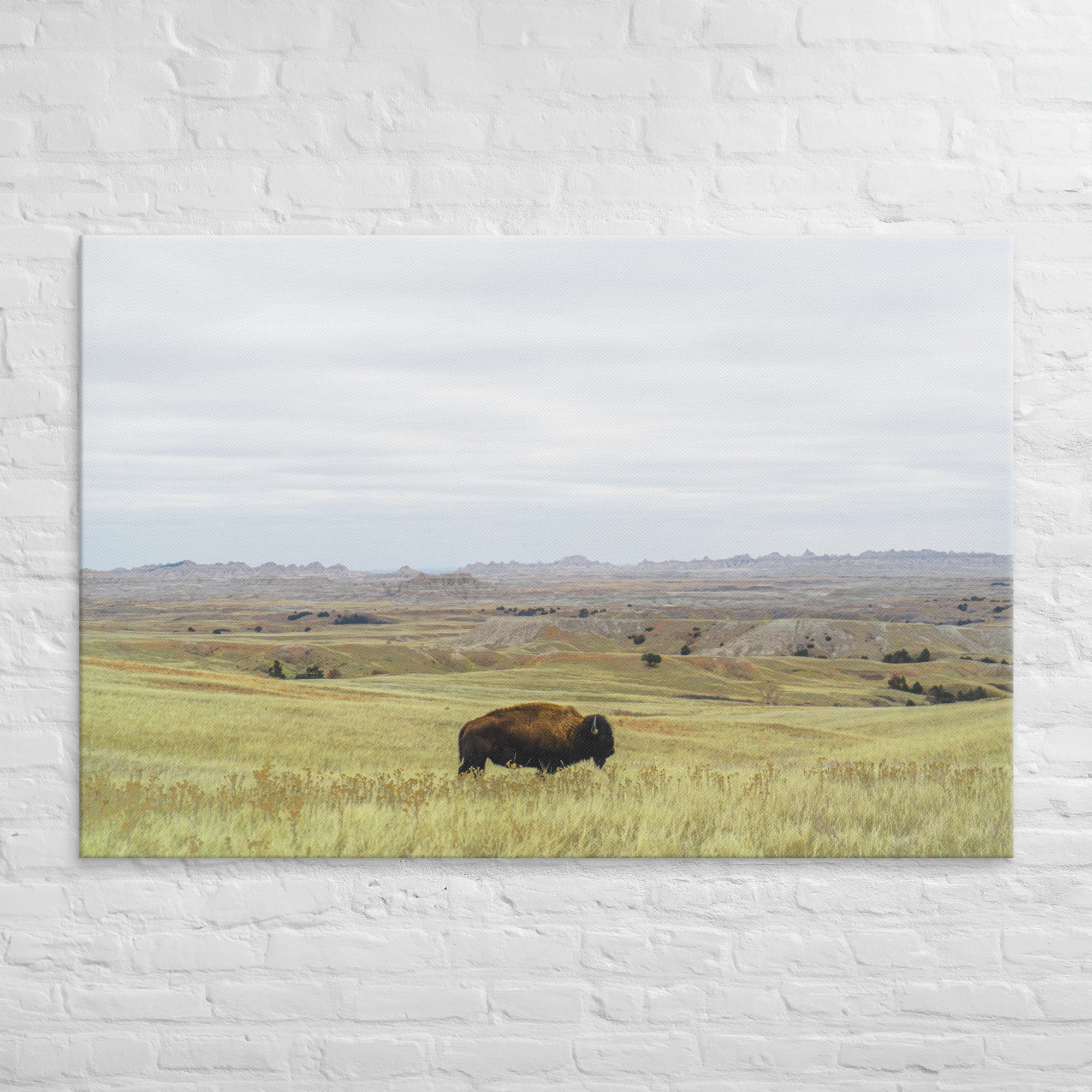 canvas-(in)-40x60-front-67218d9c6e133.jpg