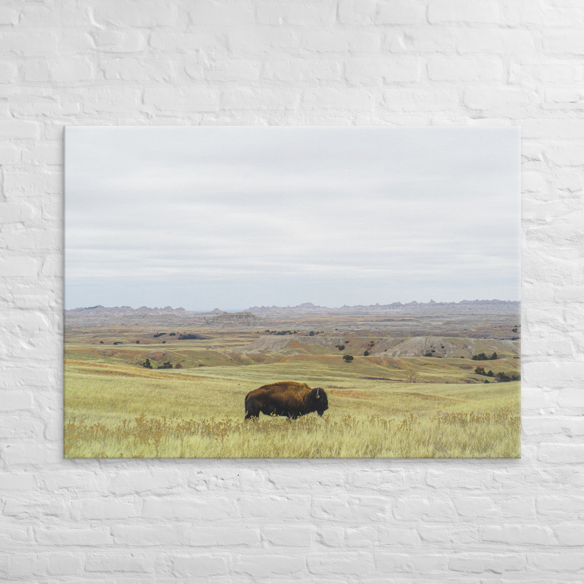 canvas-(in)-40x55-front-67218d9c6f857.jpg