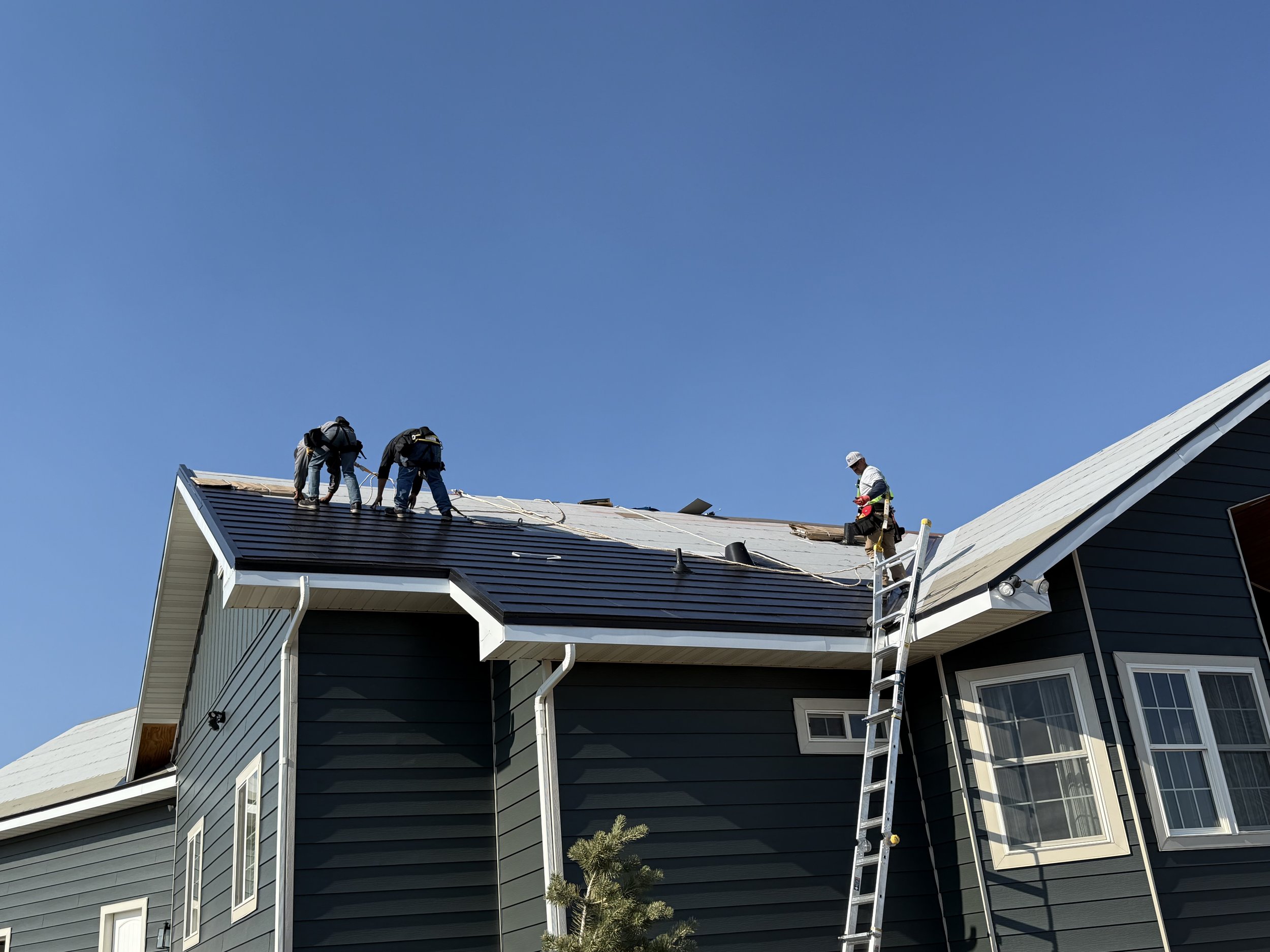 Workers installing shingles on a residential roof with a ladder in view.