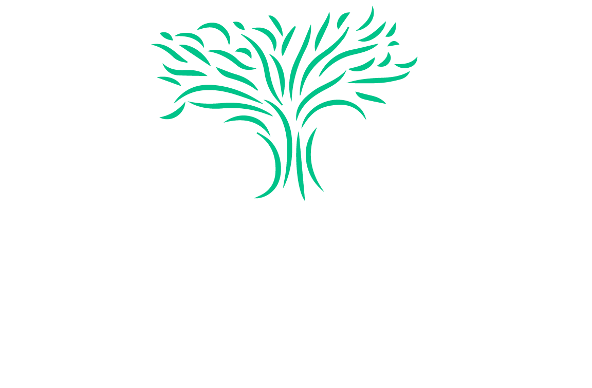 Verde Investment Holdings
