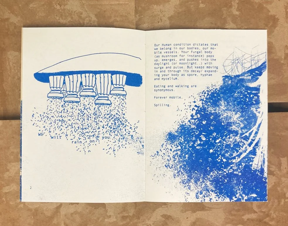 page 2 and 3 vlw .jpg