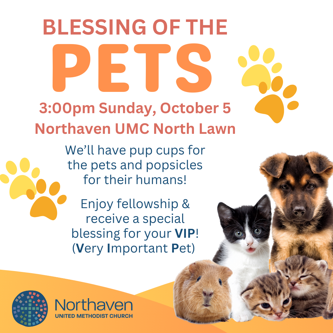 Blessing of the Pets
