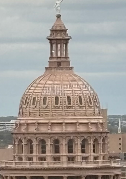 Advocacy for Action: Responding to the Texas Legislature
