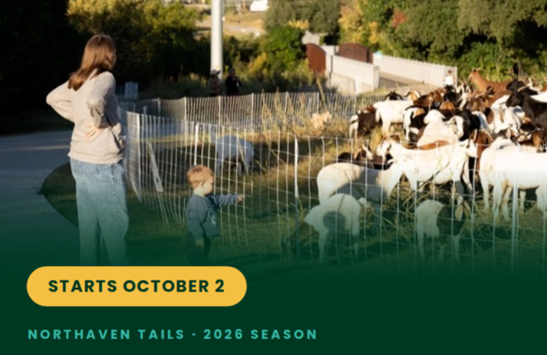 Northaven Tails Are Almost Here!